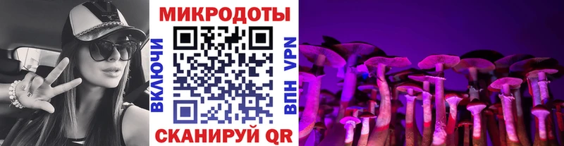Галлюциногенные грибы Psilocybine cubensis  mega ссылка  Благодарный 