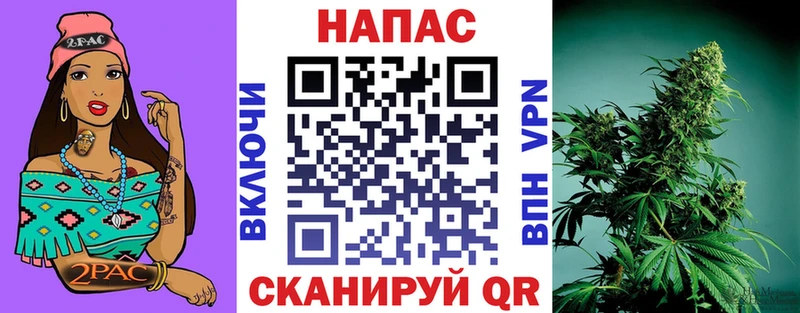 MEGA как зайти  Благодарный  МАРИХУАНА SATIVA & INDICA 